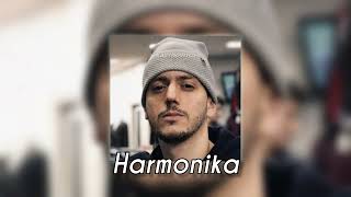 Zedk - Harmonika French Cover | Version française✨