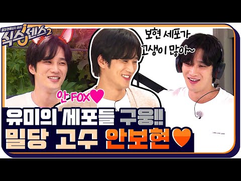 [#하이라이트#] 식센이들 밀당하는 밀당의 고수♥ 유미의 세포들 &amp;quot;구웅&amp;quot; 안보현!! #식스센스2 EP.14