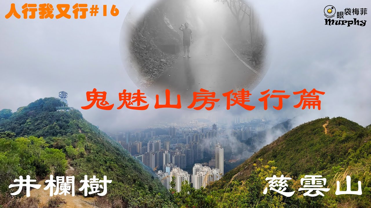 [鬼魅山房健行篇][霧鎖飛鵝山道][井欄樹][慈雲山]  - 人行我又行#16輕鬆篇@眼袋梅菲