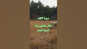 سورة الكهف       المال والبنون زينة الحياة الدنيا
