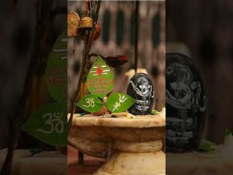 Brahma Murari Surarchita Lingam - Lingashtakam | Ashwin Trivedi