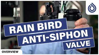 Rain Bird AntiSiphon Valve, ASVF
