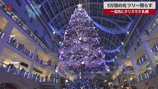 【速報】5万個の光 ツリー照らす 一足先にクリスマス 札幌