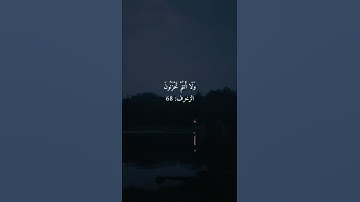 ﴿ يَا عِبَادِ لَا خَوْفٌ عَلَيْكُمُ الْيَوْمَ وَلَا أَنتُمْ تَحْزَنُونَ﴾القارئ المنشاوي