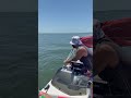 Dolphins in the ocean!!