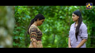 නර - සනර සට වල