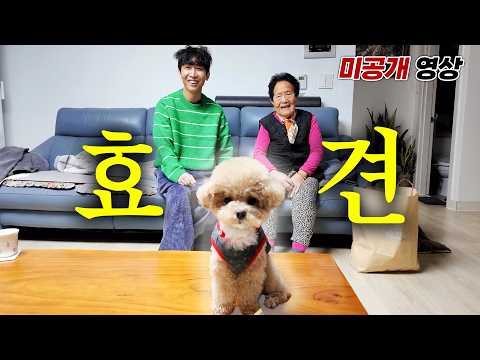 Tori eating way too many snacks and Hansol trying to stop her LOL [Unreleased footage from Grandm...