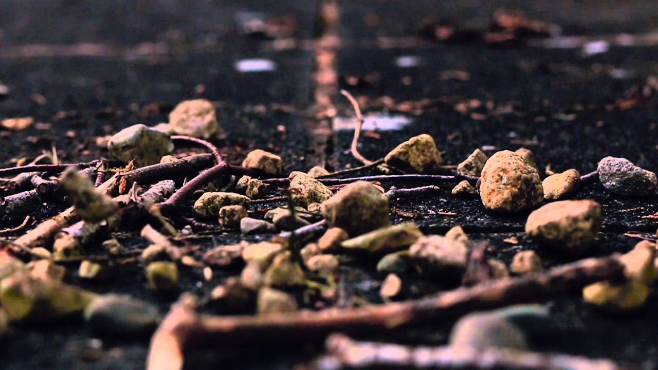 The Swan Song - A Short Film on Depression