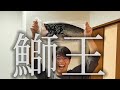 辻井のおじさん、鰤をさばいてみる。の１本です（＾∇＾）