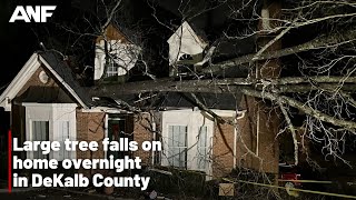 Tree falls on home in DeKalb County