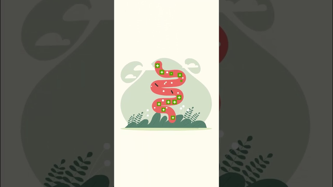 Gut Health & Beyond: Thrive with Probiotics Made for You! 