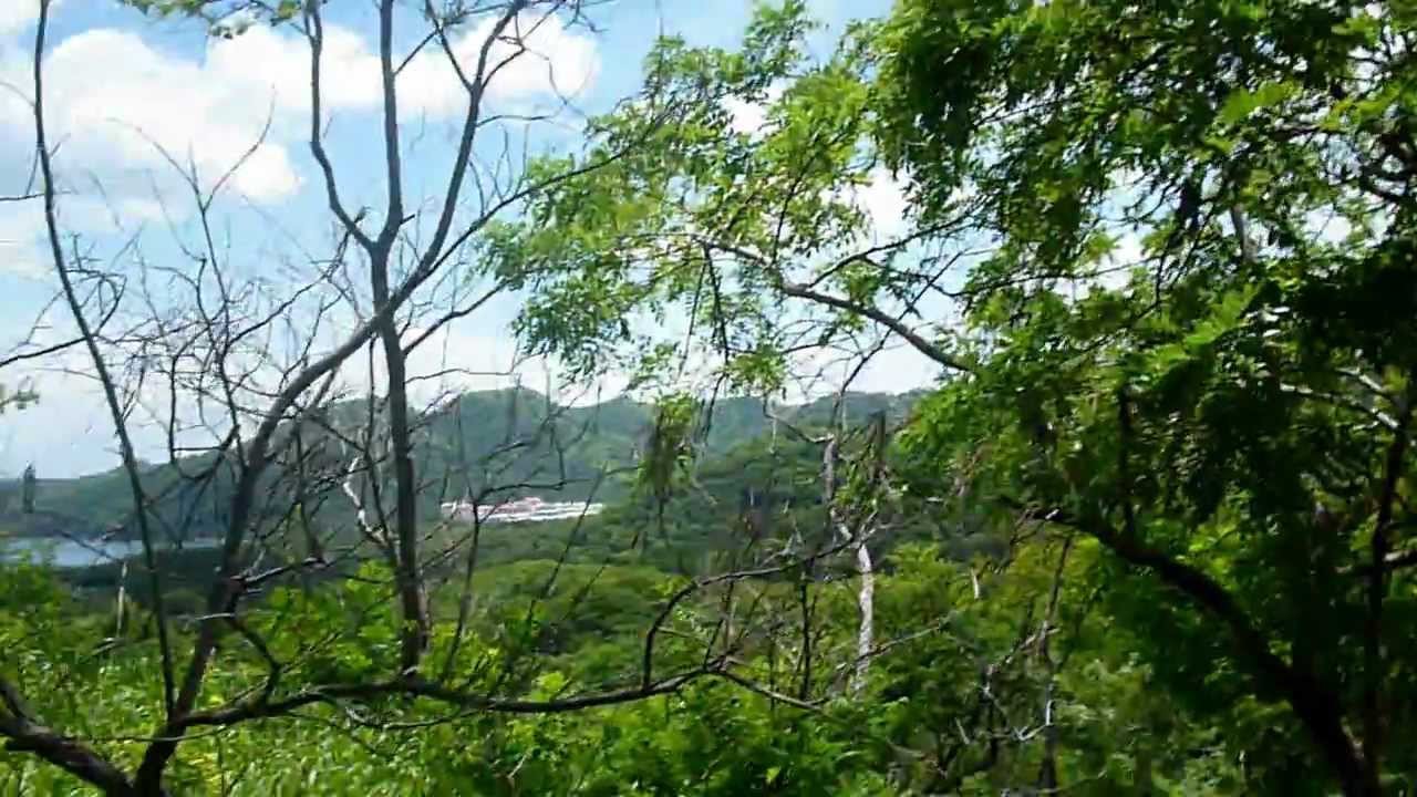 Ocean View Property for Sale, Matapalo, close to RIU Hotel