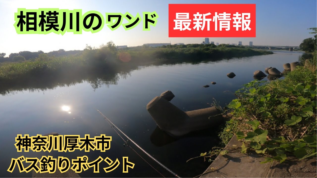 【耳寄り情報を入手 】相模川のワンドはスモール釣れまくり⁉️果たして結果はいかに...