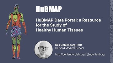 HuBMAP Data Portal: a Resource for the Study of Healthy Human Tissues