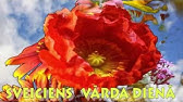 Varda Diena Youtube