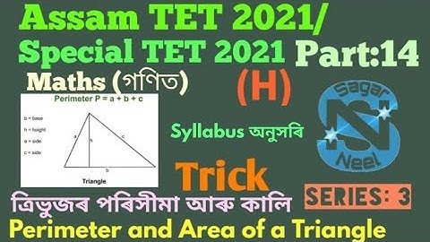 Assam TET 2021||Special TET|| Geometry||Area and Perimeter|of Triangle||Series:3|@Sagar Neel Part:14