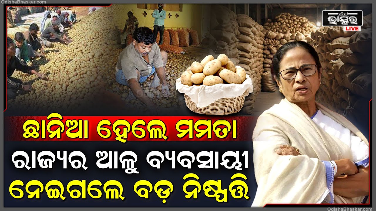ଅମାନିଆ ମମତା ଦିଦିଙ୍କୁ ସାବଡ କଲେ ନିଜ ରାଜ୍ୟର ଆଳୁ ବ୍ୟବସାୟୀ, ପଶ୍ଚିମବଙ୍ଗରେ ଆଳୁ ବନ୍ଦ