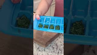 Don&#39;t let your fresh herbs go to waste!! FREEZE them! #freshherbs #gardentips #herbgarden