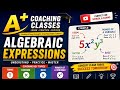 Class 7 Algebraic Expressions Basics