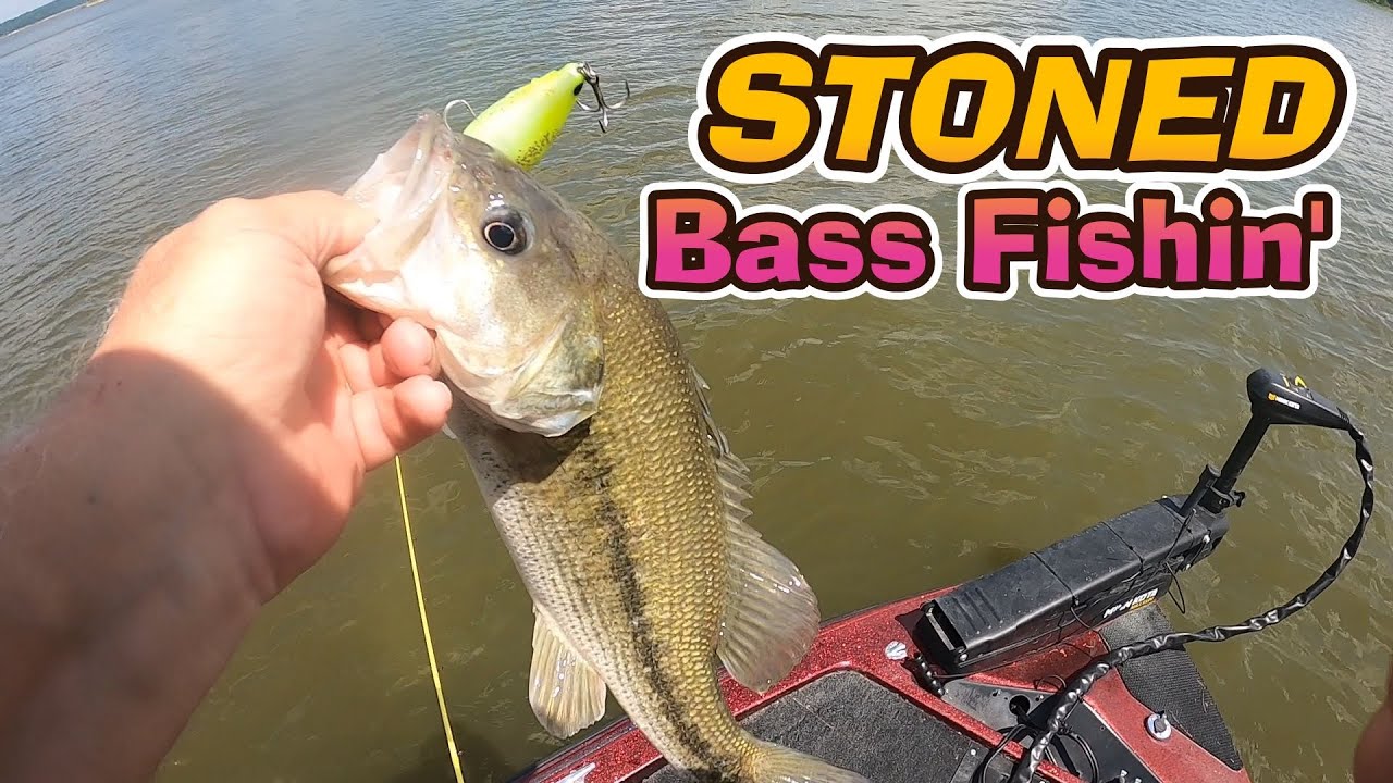 Fishing the Toughest Tuesday Bass Tournaments in the Country?