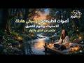 أصوات الطبيعة و موسيقى هادئة  للإسترخاء و النوم العميق