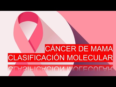 Vídeo: Identificación De La Regulación Específica De MiRNA Objetivo Entre Subtipos Moleculares De Cáncer De Mama Utilizando AGO2-PAR-CLIP Y Conjuntos De Datos De Pacientes