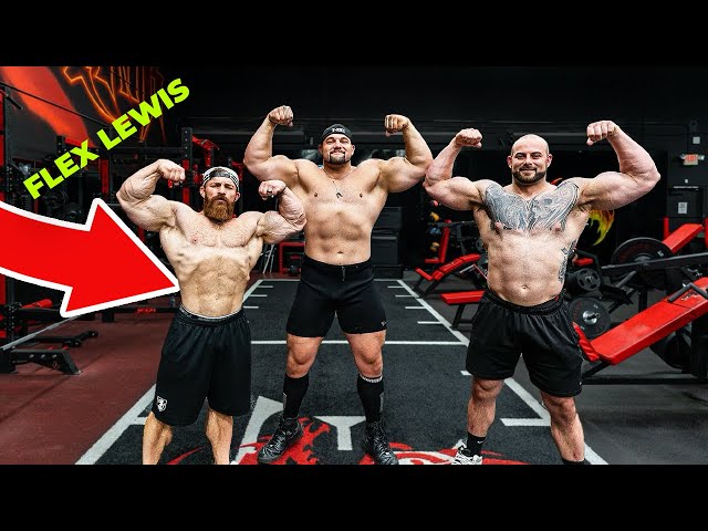 Arsenal Strength on X: Evolution. - Ft The Dragon's Lair with Flex Lewis -    / X