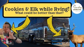 3. RV Trip! Granby Colorado & Rocky Mountains Elk Experience You Won't Forget!  S2E11 by Traveling Marlins 128 views 10 months ago 23 minutes