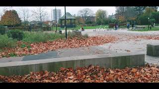 Short clip video autumn urdu hindi | channel47