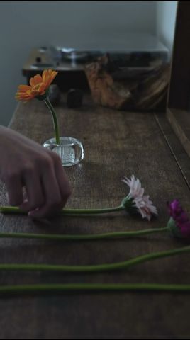 花で彩る、やわらかな時間【鹿熊生活】 #shorts #花のある暮らし #フラワーインテリア #FlowerDecor