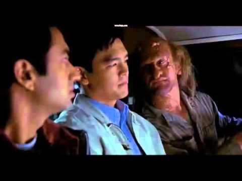 დაბოლილები - მუწუკა იაღოველი