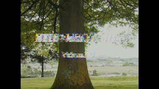 Mklo - Miss You Crazy Official Music Video Directed By Õh3