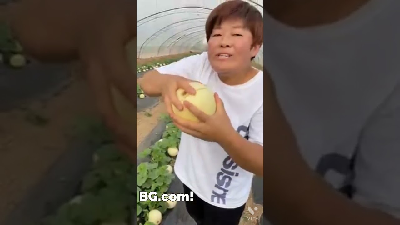 Farm fresh mashmelon 😛😛