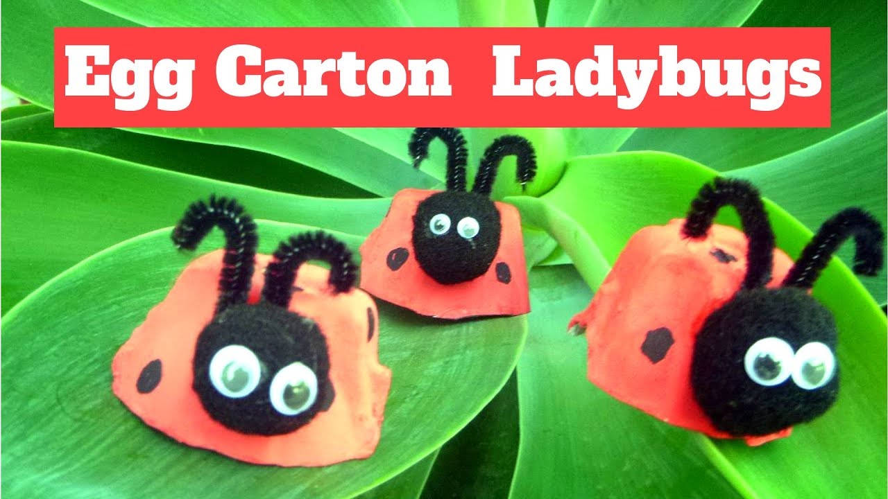How to Make an Egg Carton Ladybug YouTube