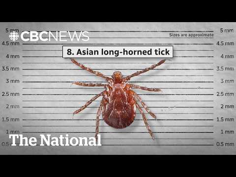What Is Latest News In Canada