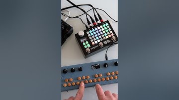 #organellem + #zoia #organelle #ambient #zoomu22 #empress #cinematic #texture #soundscape