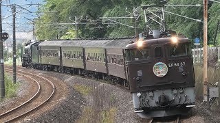 『D51 498 赤プレ+EF64 37』SL&ELレトロ碓氷 2018 9/9 in信越本線
