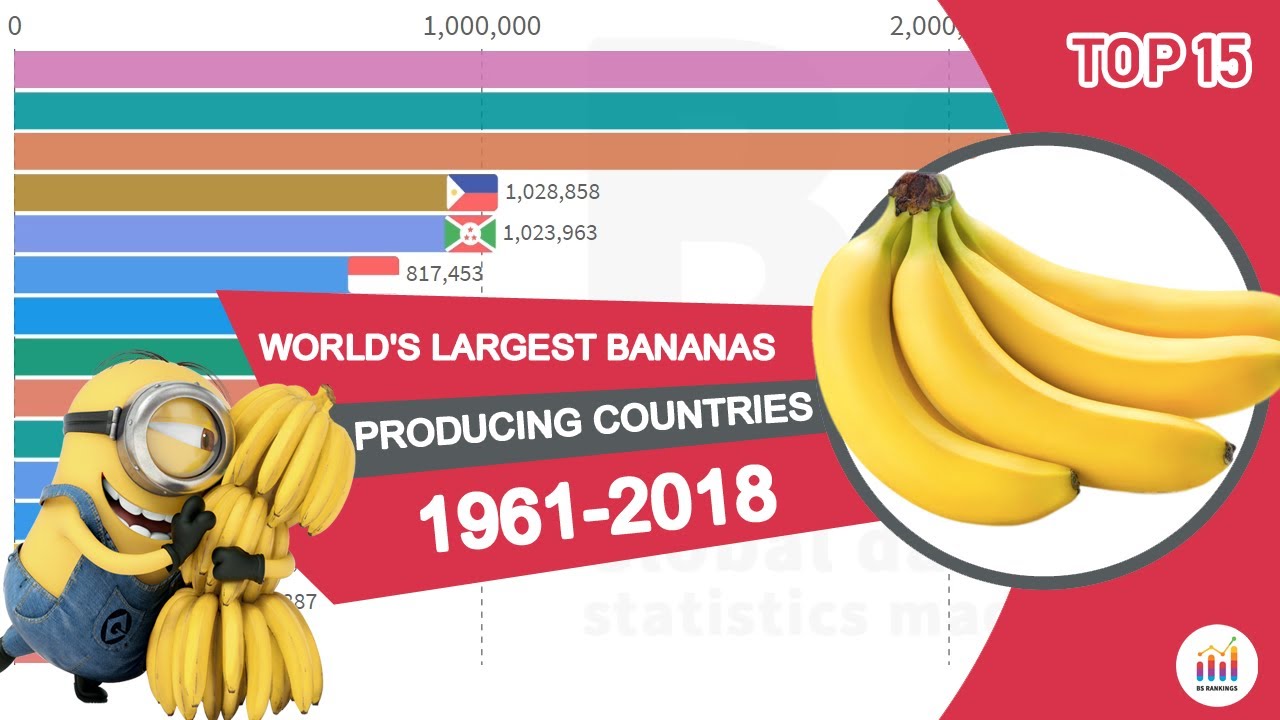 World's Largest Bananas Producing Countries 19612018 YouTube