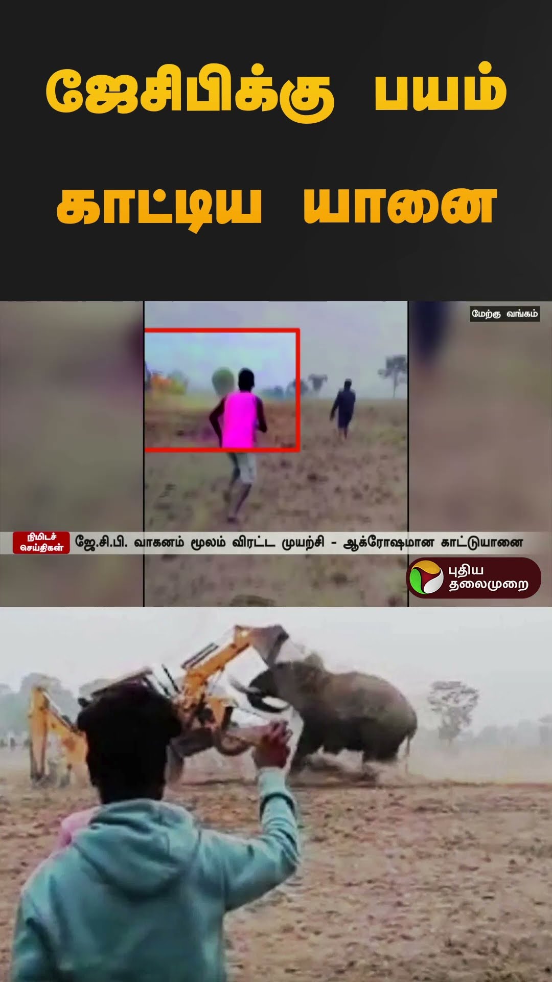 ஜேசிபிக்கு பயம் காட்டிய யானை | #westbengal | #elephant | #shorts