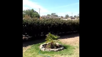 Right after I got Fios/Frontier