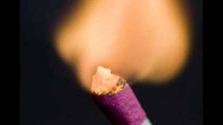 Jilet Yiyen Kız H.p