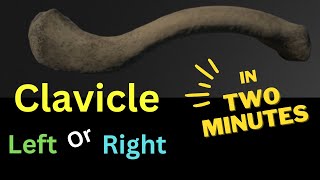 Clavicle - Side (Left👈OR Right👉) | IN 2 MINUTES!