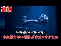 【裏側】通常プレイでは見れないゲームの裏側 学校編【リトルナイトメア２】