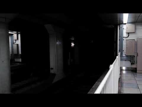 【京急2000形 貸切運行前日！】京急2000形(2011F・リバイバルカラー) 羽田空港国際線ターミナル駅到着