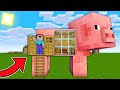 Minecraft NOOB vs PRO: NOOB FOUND SECRET HOUSE INSIDE PIG! (Animation)