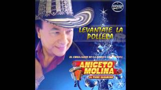 Video thumbnail of "Lo Nuevo: Aniceto Molina - Levantate la Pollera"