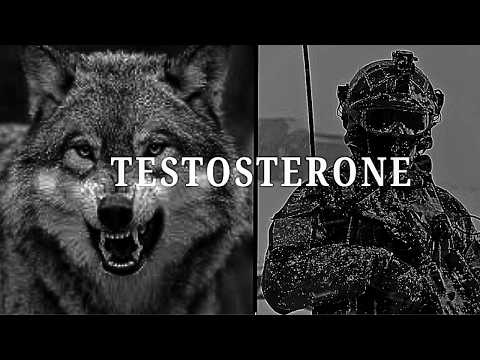 Testosterone !