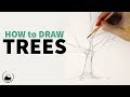 How to Sketch & Draw Trees - Understanding the Fundamentals