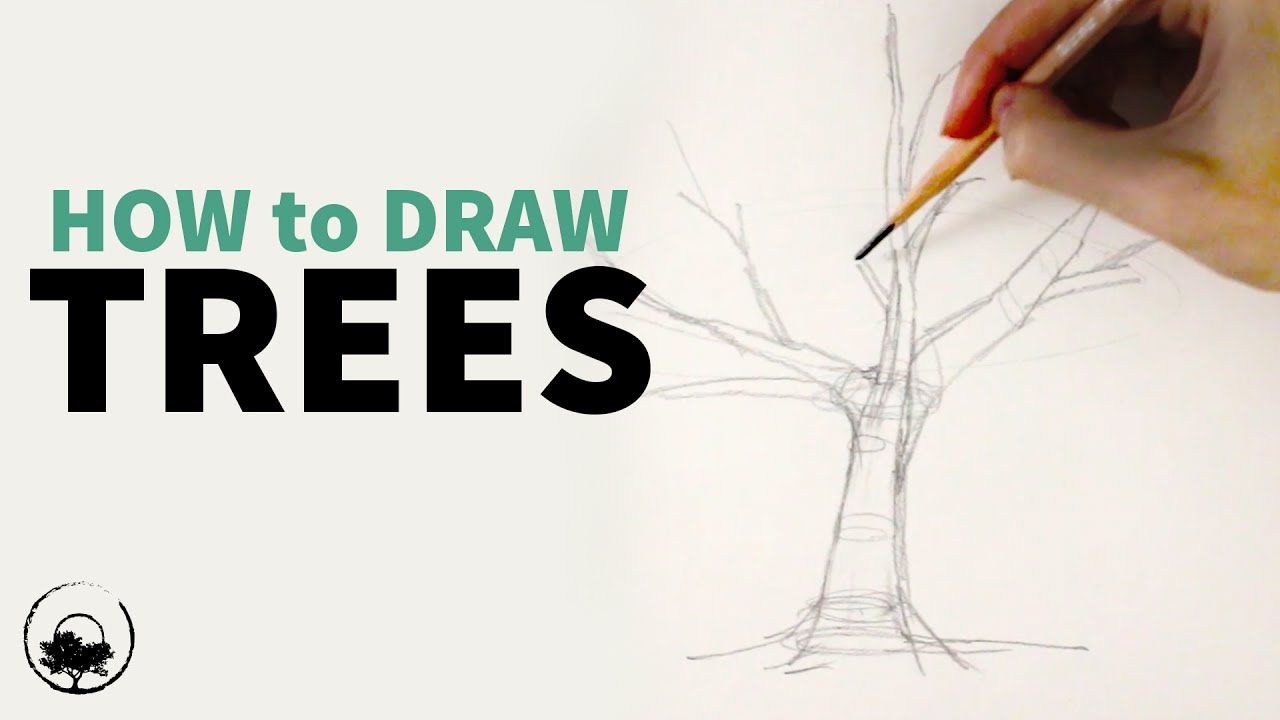 How to Sketch & Draw Trees - Understanding the Fundamentals - YouTube