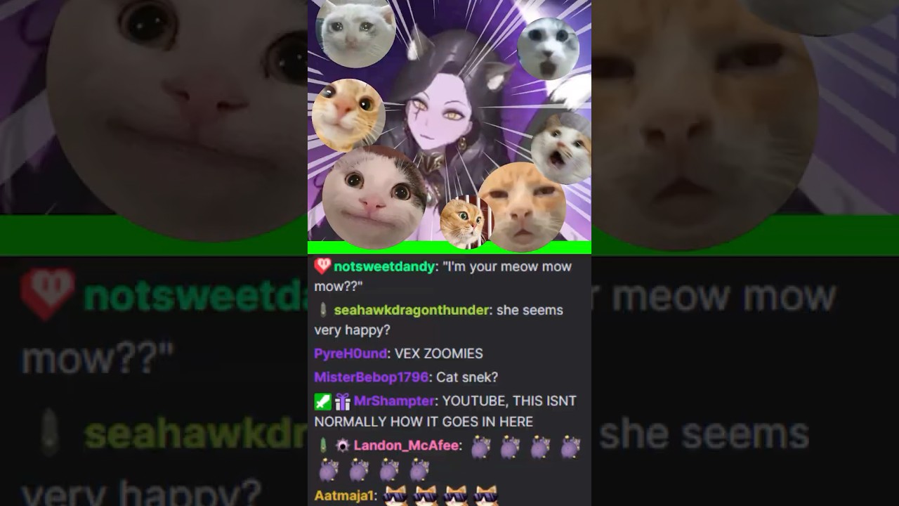 Meow Meow Meow Meow Meow
